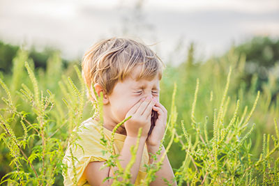 Lutter contre les allergies saisonnières