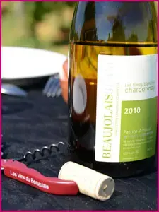 Domaine Patrice Arnaud